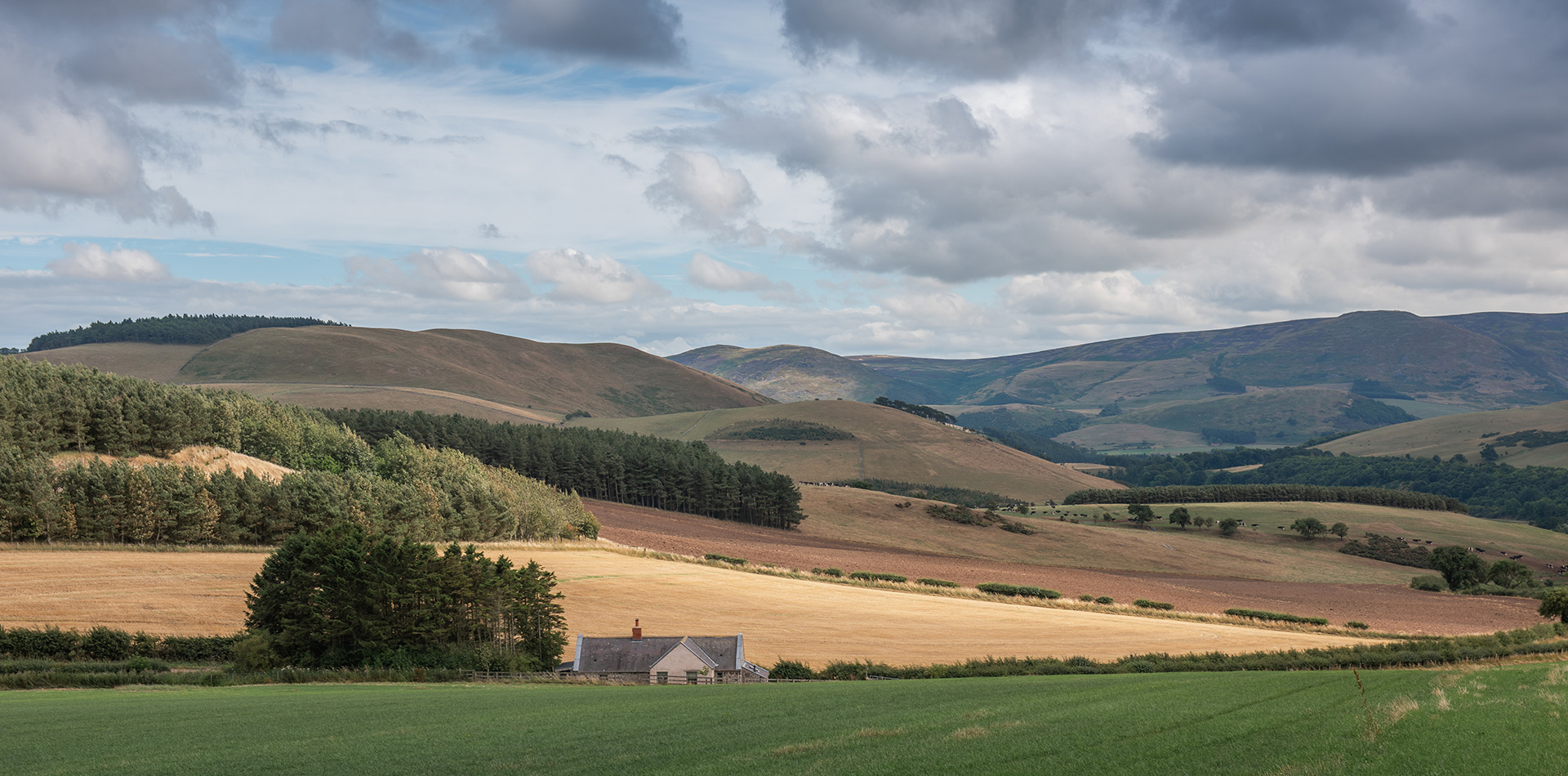 Wild Plum Properties Wild Plum Cottages