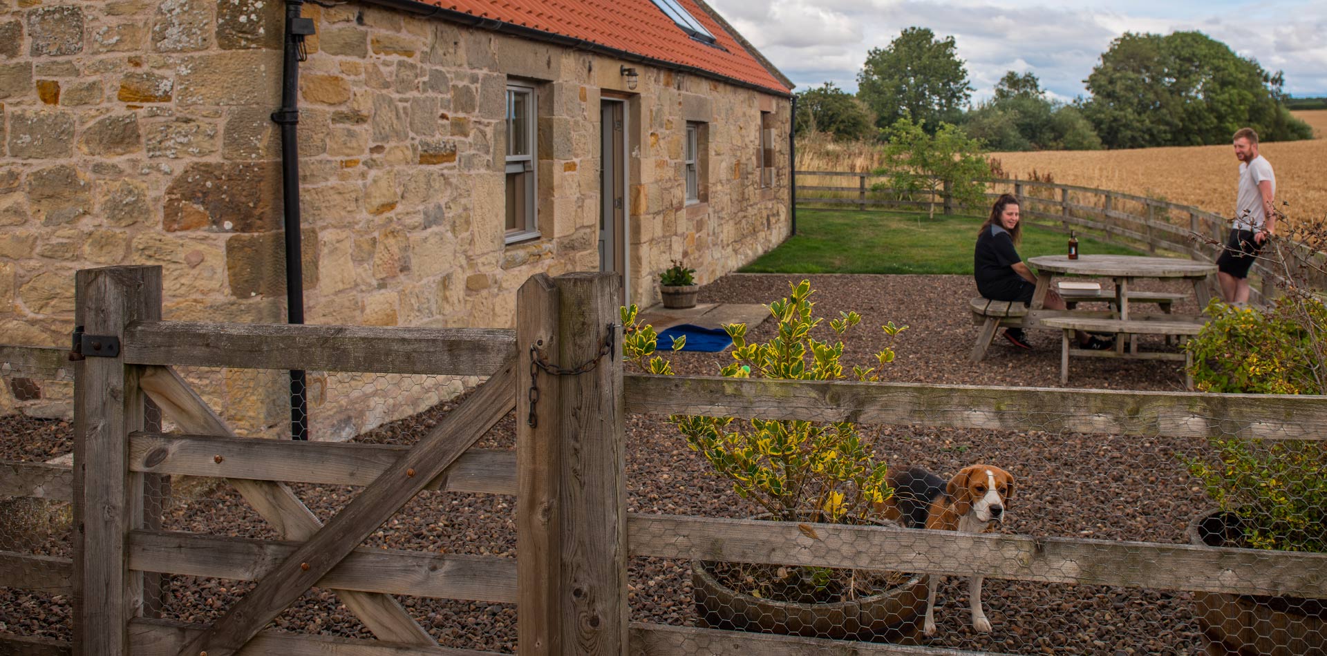 The Smithy cottage enclosed garden with dog at fence